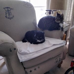 Meet your Posher, Janie